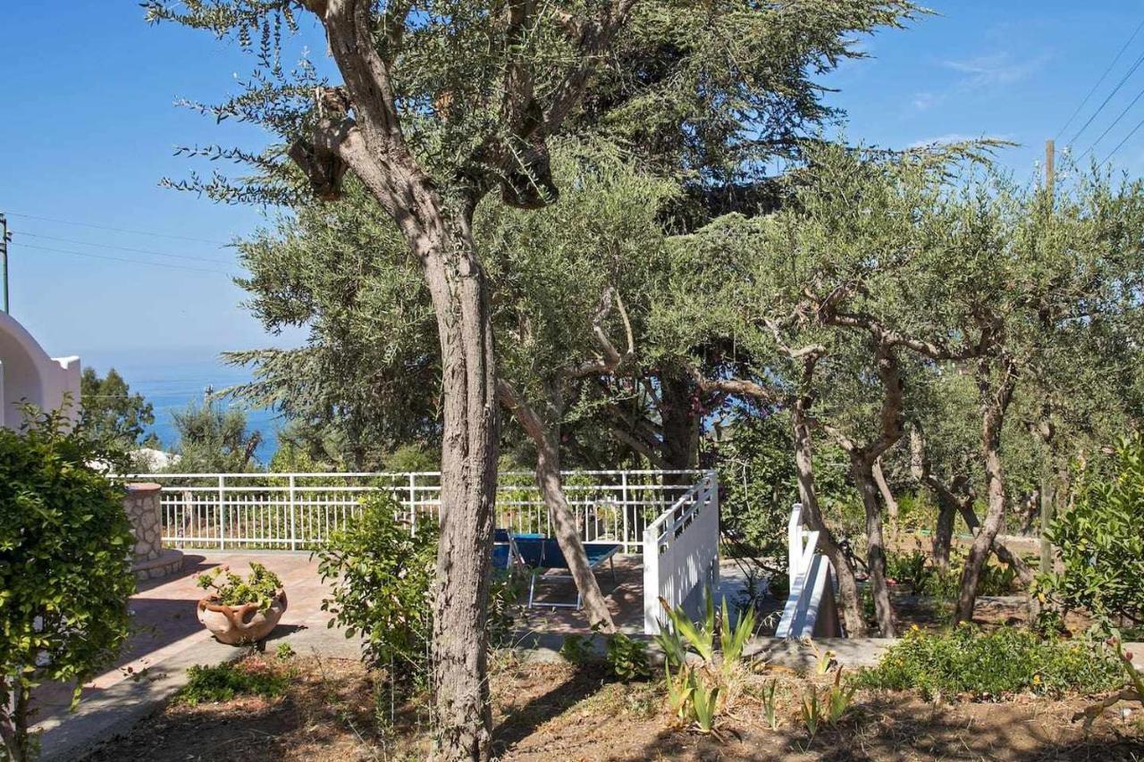 Villa Romano, Anacapri Екстер'єр фото